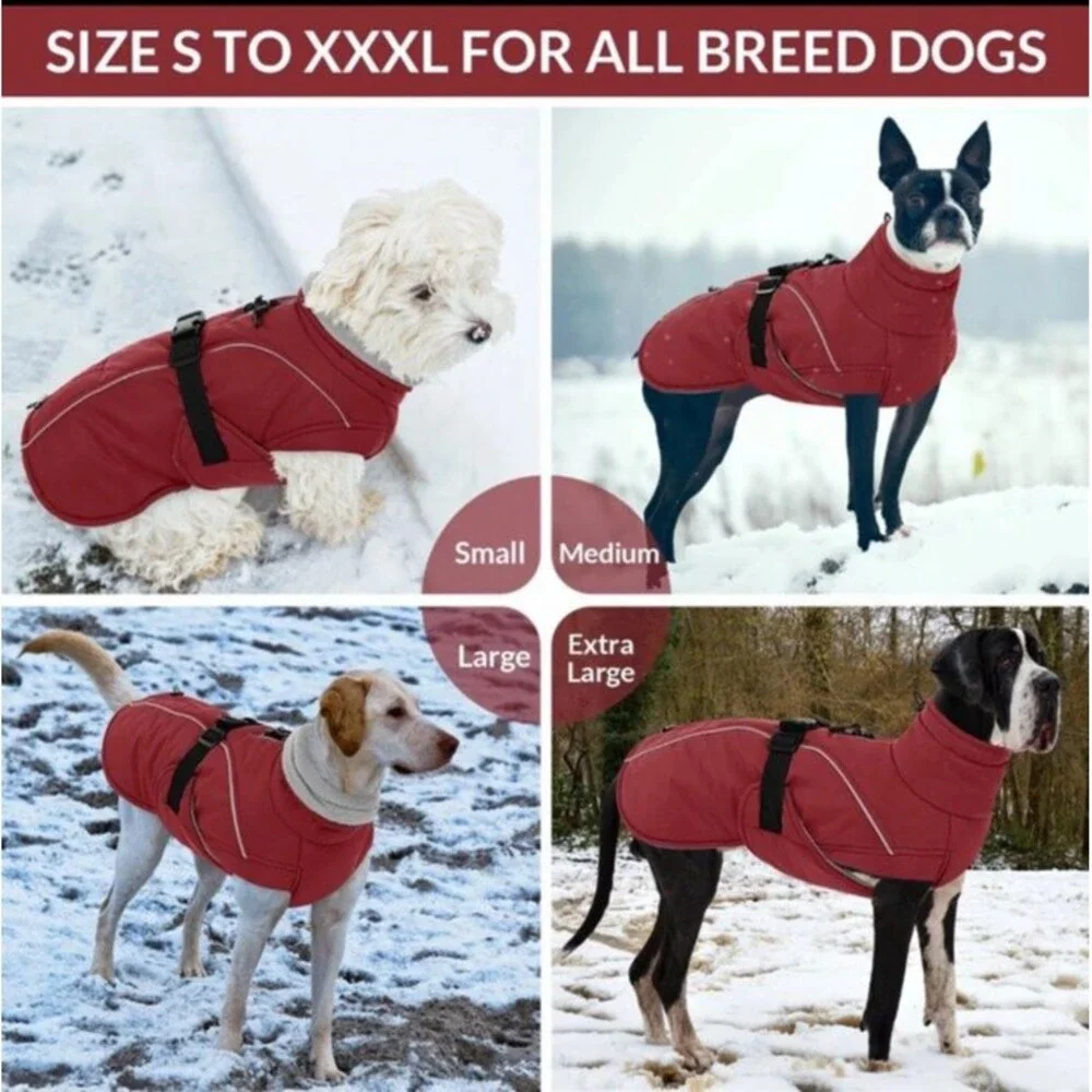 Queenmore Medium Dog Coat Winter Dog Jacket Waterproof Puffy Dog Snowsuit Large